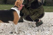 sequestro,tribunal,crime,jovem,homem