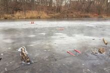 Rapaz morre em lago gelado de Nova Iorque