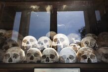 esqueletos, crânios, morte 