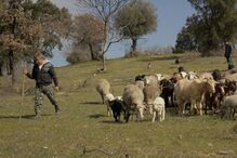 Pastor apresentou queixa na GNR 