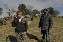 Pastor apresentou queixa na GNR 