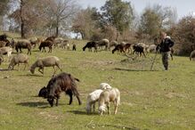 Pastor apresentou queixa na GNR 