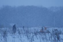 As primeiras imagens do avião despenhado na Rússia	