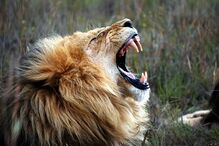 2018-02-12_11_05.15 675607089.jpg