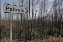 Na EN236  foi criada uma faixa de proteção, que afasta as árvores do alcatrão