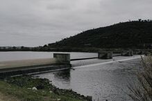 Pescadores retomaram ao rio Tejo 