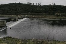Pescadores retomaram ao rio Tejo 