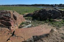 Gravuras de arte rupestre descobertas no Rio Guadiana, em Elvas