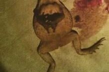 Nikolas Cruz mostrava-se muito violento nas redes sociais