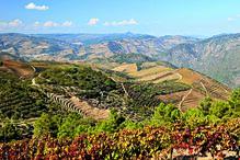 Acordo UE-Mercosul assinado hoje cria maior zona de livre comércio do mundo