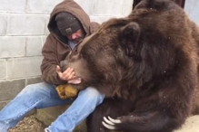 Urso de 600 quilos é consolado pelo tratador após ida ao veterinário