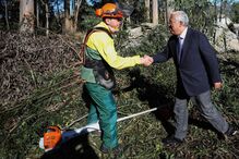 António costa, incêndios, floresta