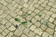 2018-02-18_13_18.11 0133F74F (2).jpg