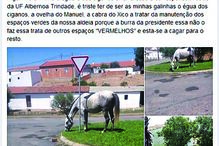 Mensagem era ilustrada com burros nos jardins 