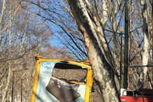 Autocarro com turistas choca com árvore da Avenida da Liberdade