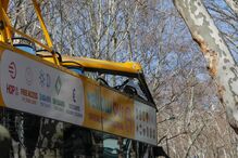  Autocarro com turistas choca com árvore da Avenida da Liberdade