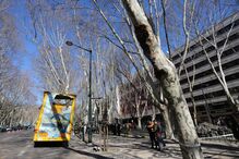 Autocarro com turistas choca com árvore da Avenida da Liberdade