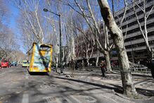 Autocarro com turistas choca com árvore da Avenida da Liberdade
