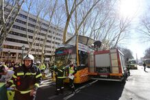 Autocarro com turistas choca com árvore da Avenida da Liberdade