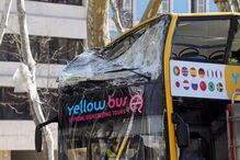 Autocarro com turistas choca com árvore da Avenida da Liberdade