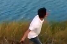 Cão bebé é devorado por crocodilo após homem o atirar a lago