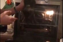 Kirill Beryozin surge a torturar o seu gato de estimação no forno