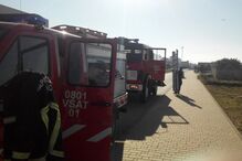 Cão resgatado de poço em Faro