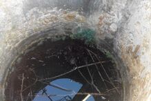 Cão resgatado de poço em Faro