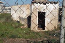 Cão resgatado de poço em Faro