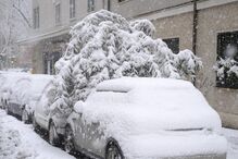 2018-02-26_11_22.46 15618917.JPG