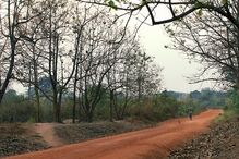 Salvei milhares de pessoas em África