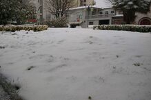 Neve cobre de branco Trás-os-Montes	