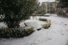 Neve cobre de branco Trás-os-Montes	