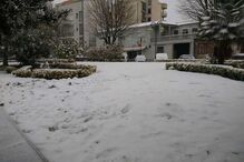 Neve cobre de branco Trás-os-Montes	