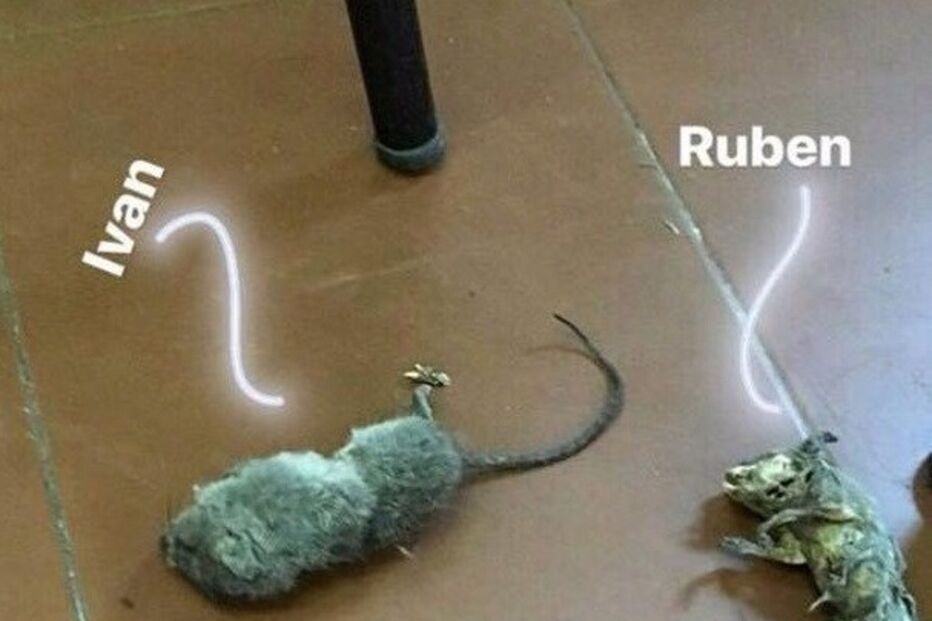 2018-02-01_15_53.13 IMG-20180201-WA0001.jpg