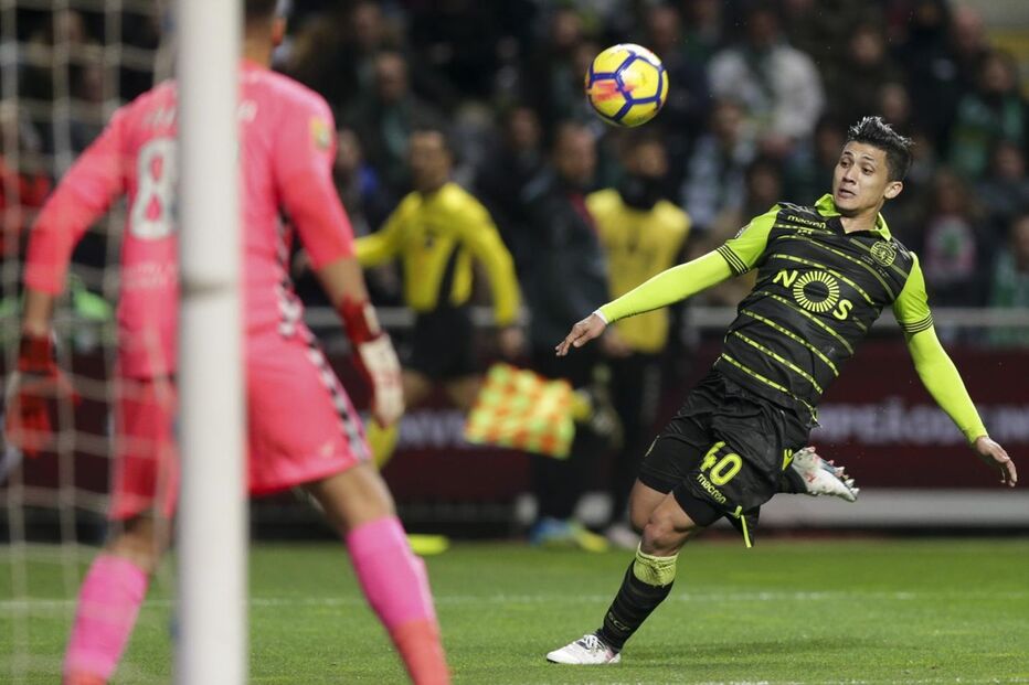 Fredy Montero tem 30 anos e chegou pela segunda vez como reforço a Alvalade no mercado de janeiro