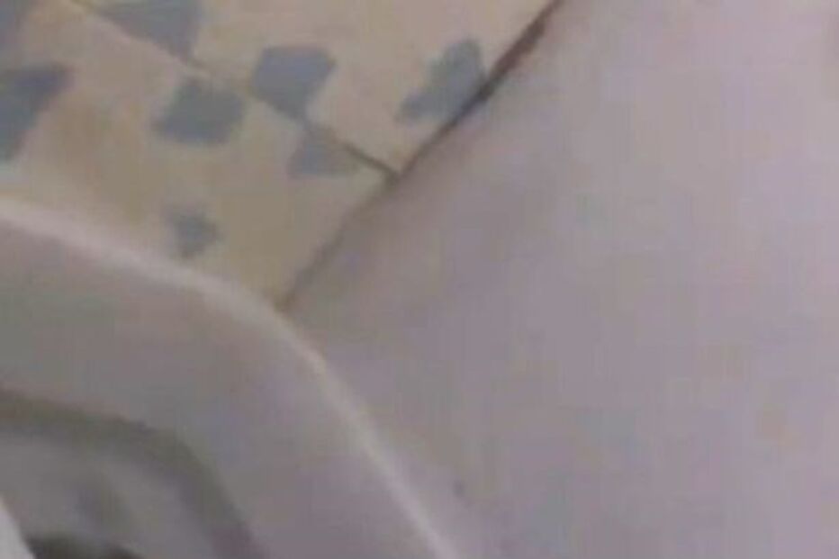 Zoo alimenta cobras com cachorros vivos