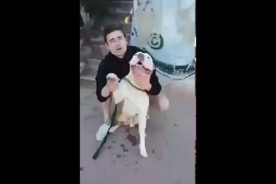 Arguido, Luís Fernando, com o cão  