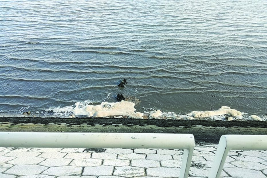 Blocos de espuma deram à margem em Lisboa, acompanhados de água mais turva 