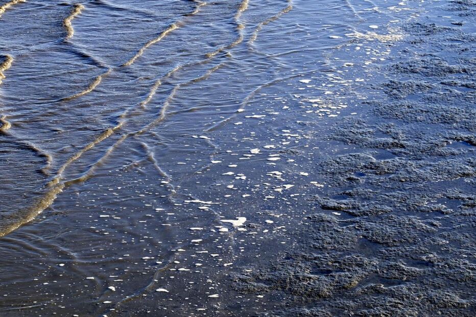 Manchas de espuma atingem Mar da Palha