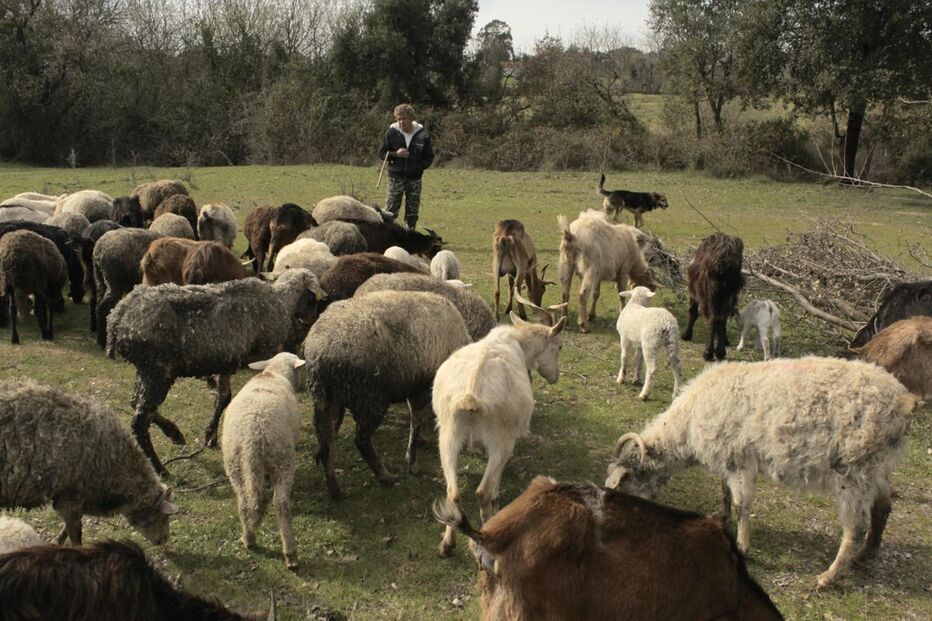 Pastor apresentou queixa na GNR 
