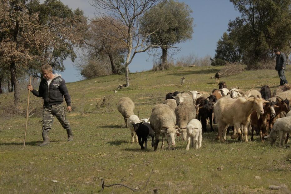 Pastor apresentou queixa na GNR 