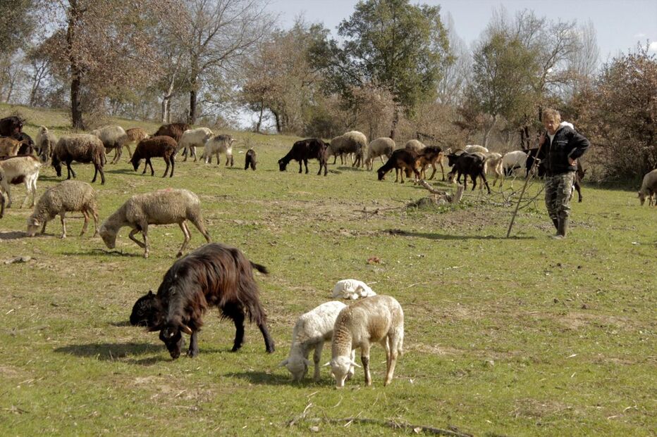 Pastor apresentou queixa na GNR 