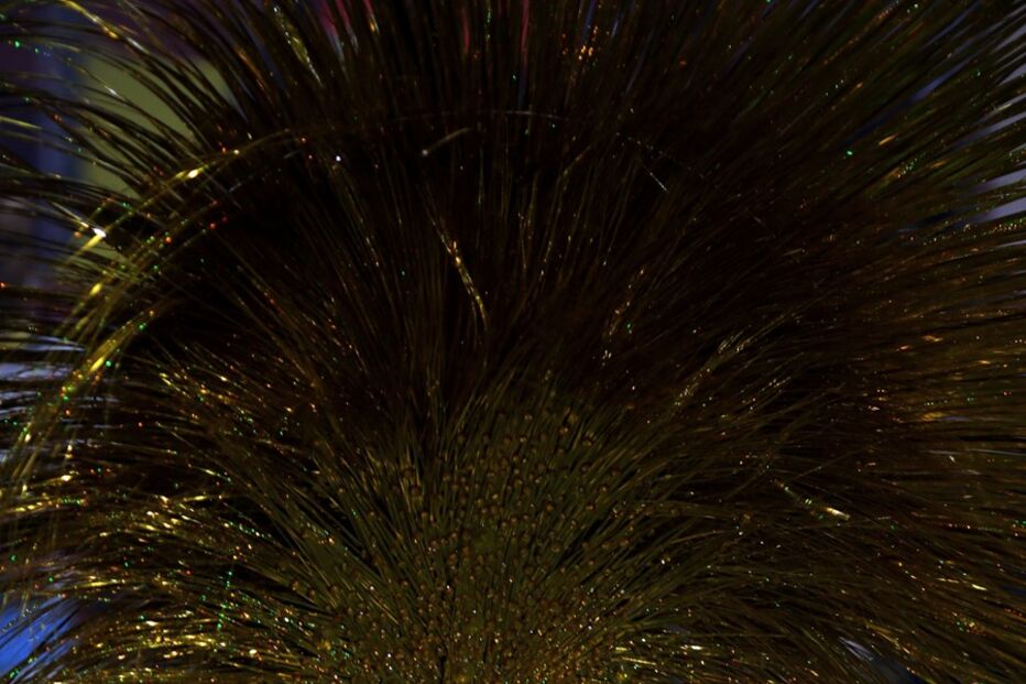 São Paulo já desfila e samba para receber o Carnaval