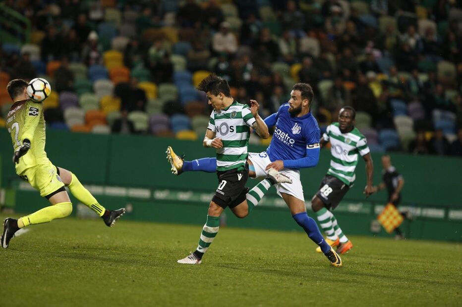  Sporting recebe Feirense para a I Liga