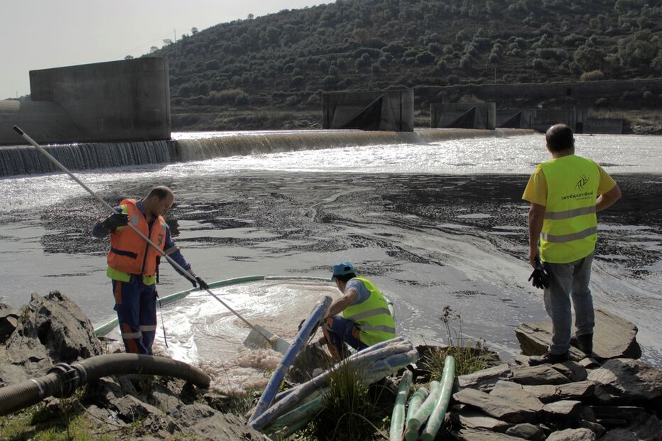 Rio Tejo foi alvo de 403 ações de fiscalização e inspeção no último ano