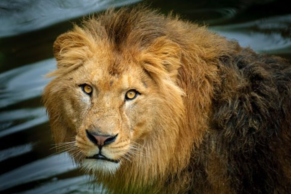 2018-02-12_11_05.15 637882000.jpg