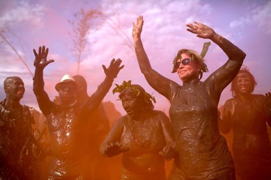 lama, carnaval, diversão, brasil 
