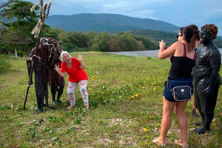 lama, carnaval, diversão, brasil 