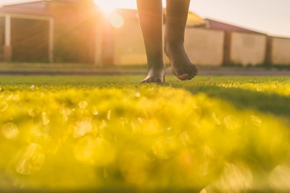 criança, jardim, casa 